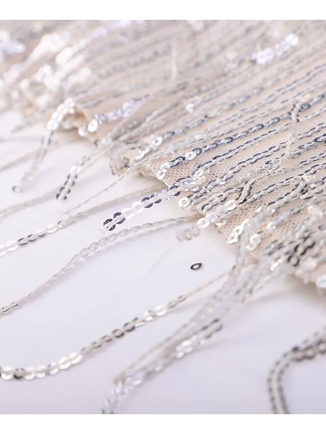 Women's Sequin Dress Fringe Dress Party Dress Sparkly Dress Mini Dress Silver Sleeveless Spring V Neck Stylish Wedding Guest